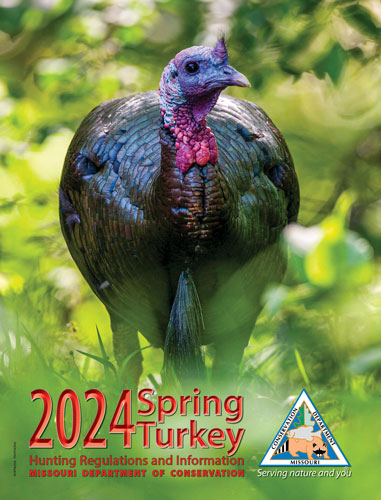 Spring Turkey Hunting Regulations Cover