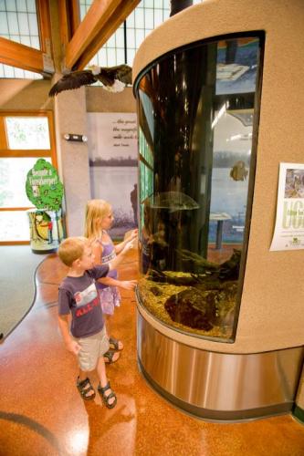children looking at a large fish tank