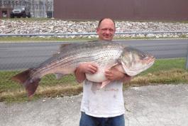 Lawrence Dillman holding state record striped bass.