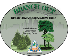 Branch Out sticker with trees in front of a city skyline