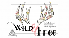 Wild and free sticker with deer antlers with flowers on them