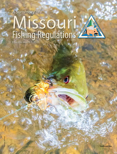 2026 Fishing Summary Cover
