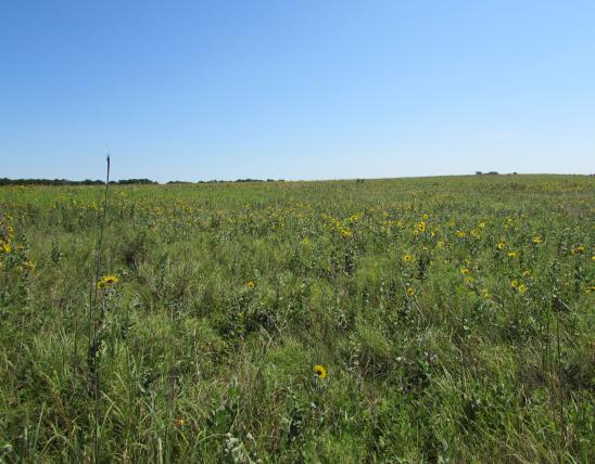 View of prairie landscape