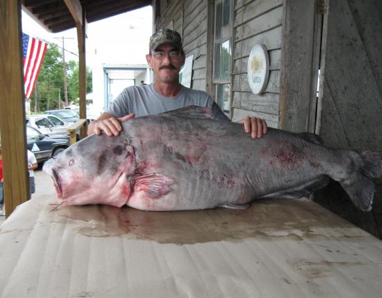 Greg Bernal and his state record blue catfish
